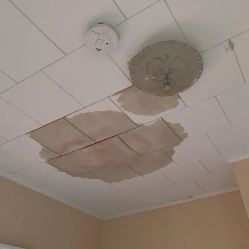 Ceiling Water Damage Repair in Brenas, PR