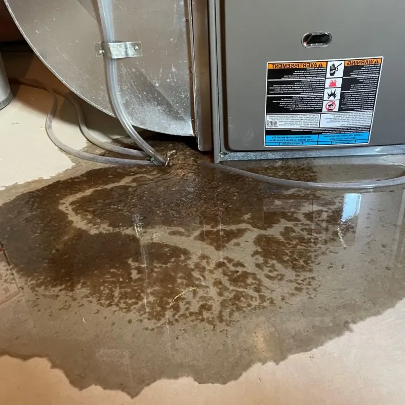 Pipe Burst and Leak Restoration in Brenas, PR