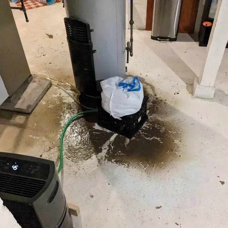 Sewage Backup Cleanup Service in Brenas, PR